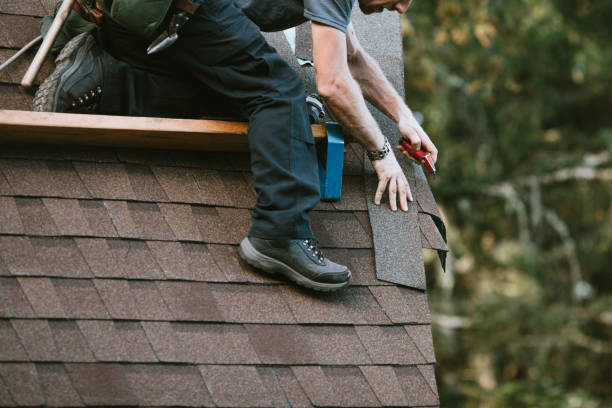 Best Roof Gutter Cleaning  in Boonville, NC